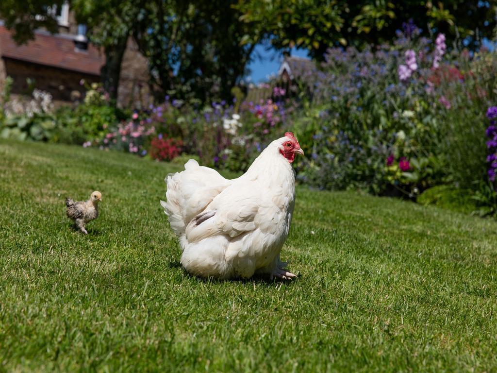 The Graig Bed & Breakfast Ludlow Farden エクステリア 写真