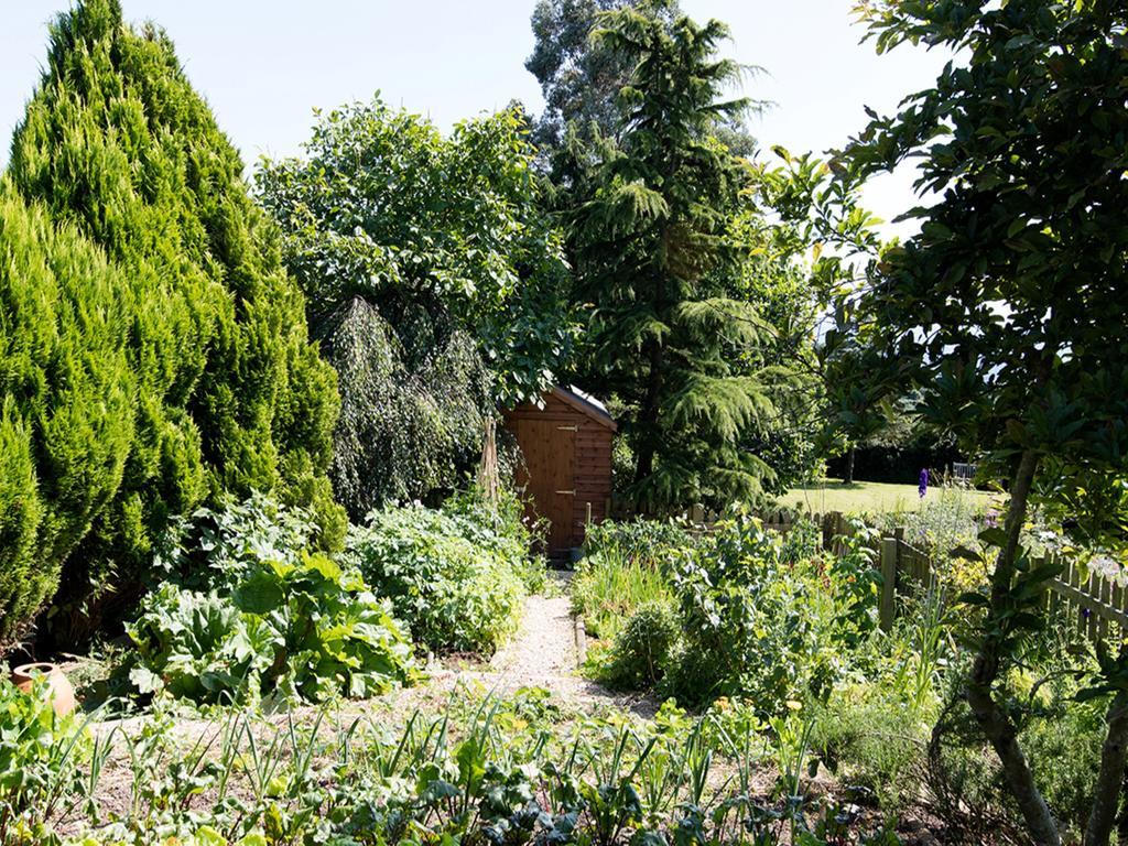 The Graig Bed & Breakfast Ludlow Farden エクステリア 写真
