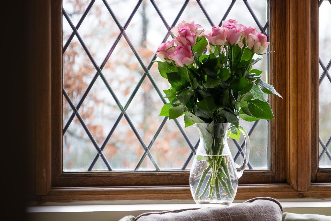 The Graig Bed & Breakfast Ludlow Farden エクステリア 写真